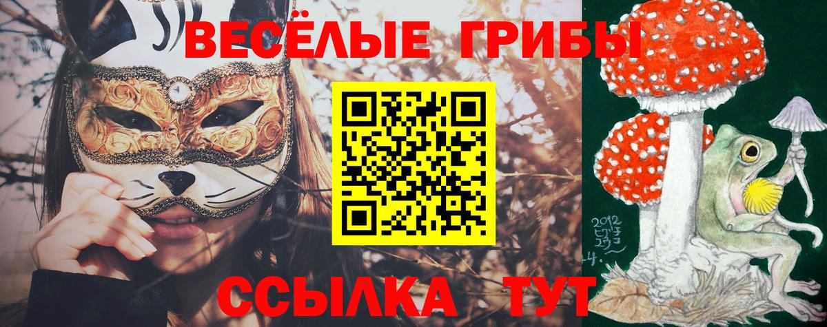 Галлюциногенные грибы Magic Shrooms Волжск