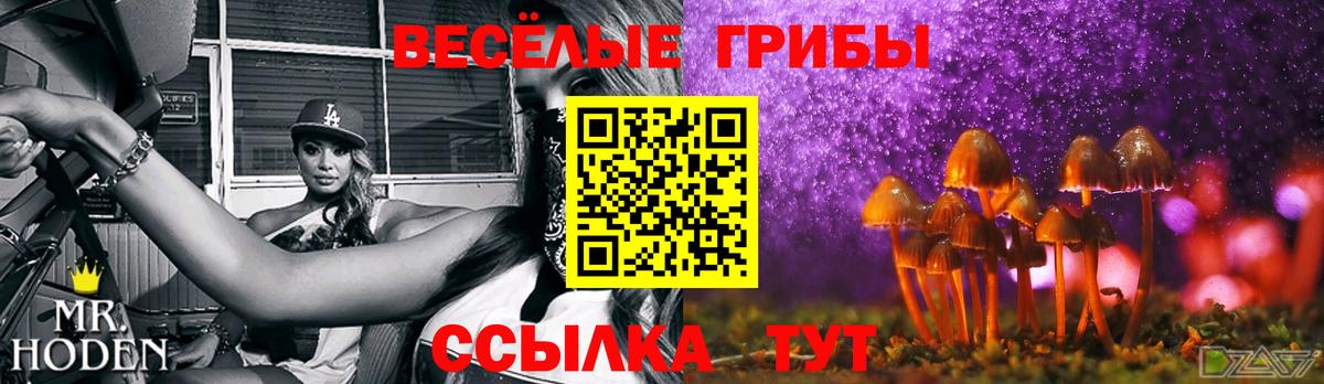 Волжск  Галлюциногенные грибы мицелий  Вход с VPN 
